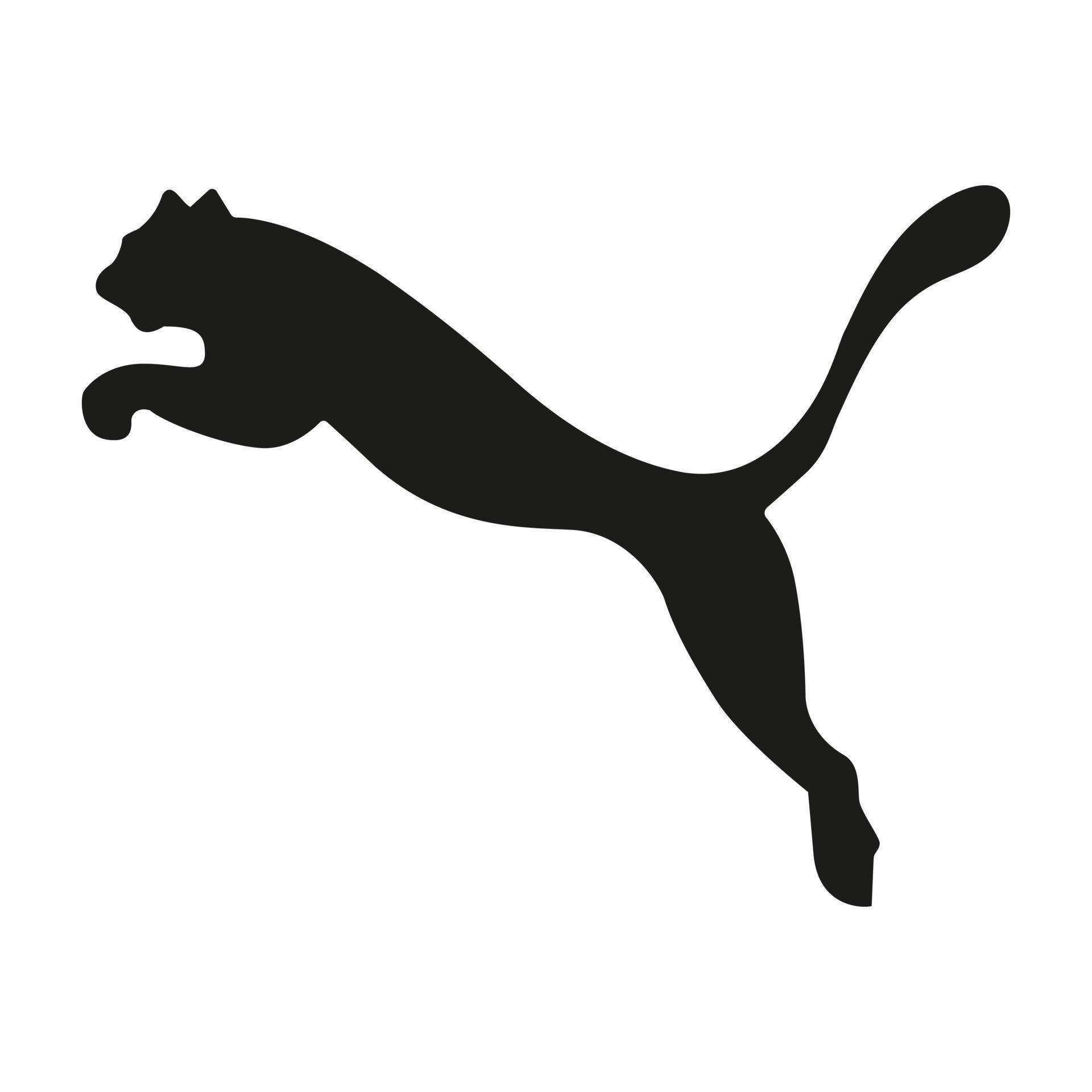 Puma_696eb61c781c1.jpg